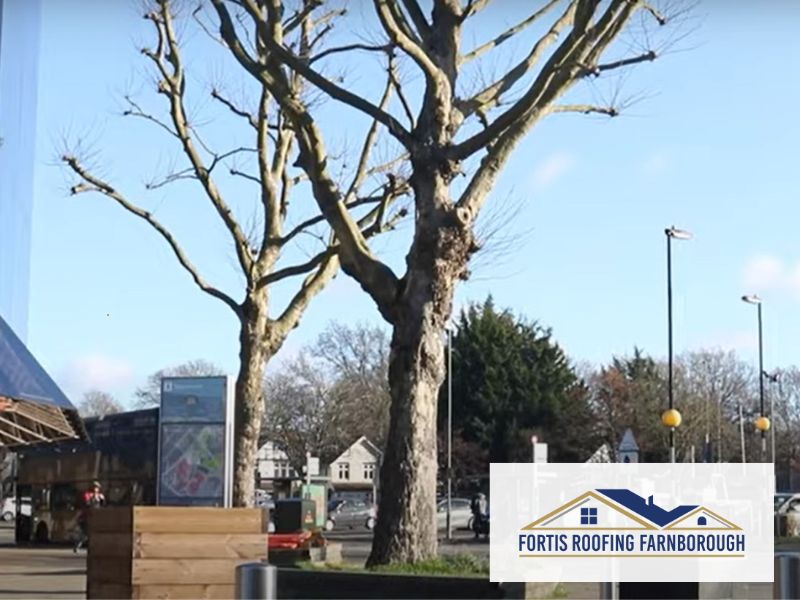 Farnborough, Hampshire