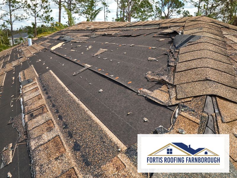 Fortis_Farnborough_Roofing flat roofing