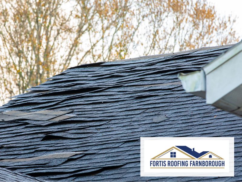 Fortis_Farnborough_Roofing roofers